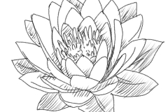 0d0242fd-4cda-4c52-bb06-7bb9c6d53de2