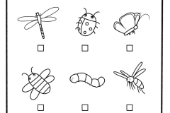 Farewell-Fairies-find-bug