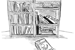 bookshelf
