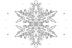 snow-flake