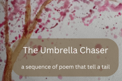 Umbrella catcher - 1